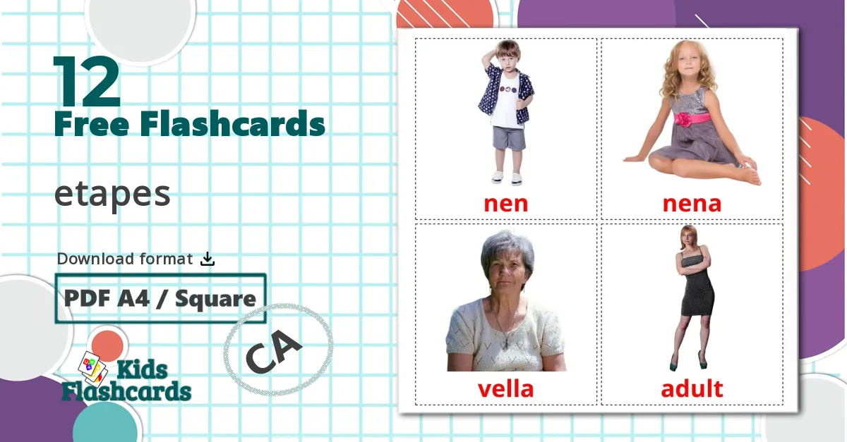 12 Stages flashcards