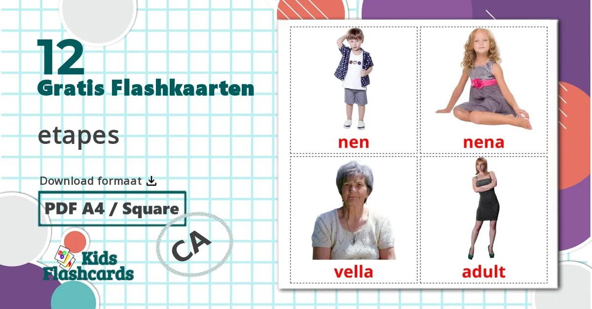12 Fasen flashcards