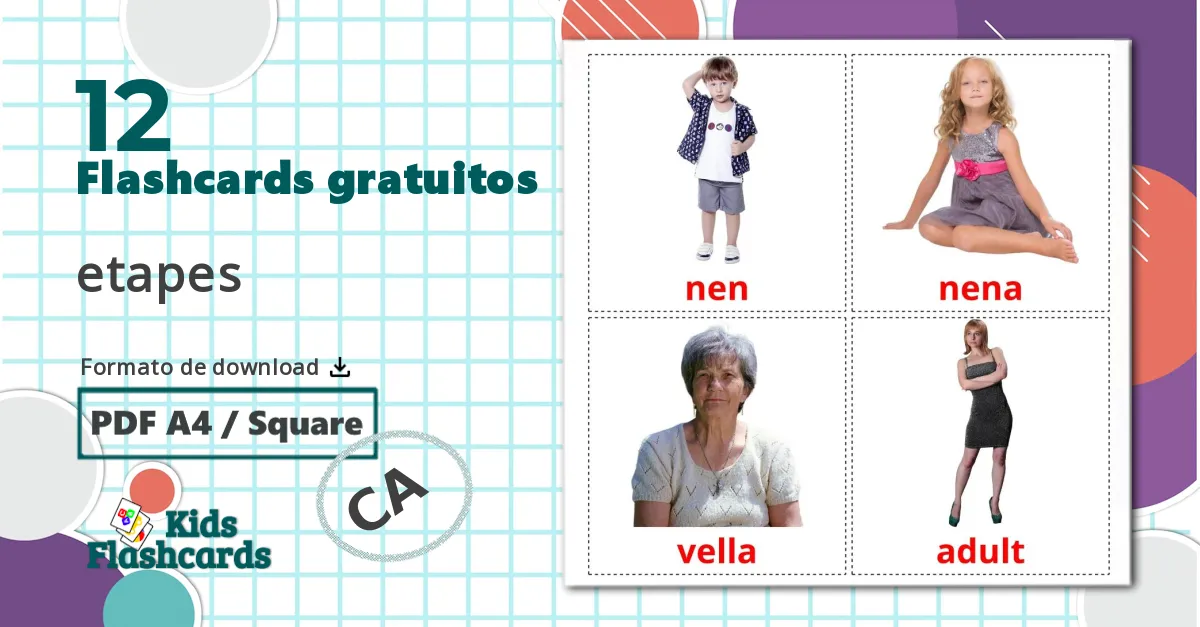12 Opostos flashcards