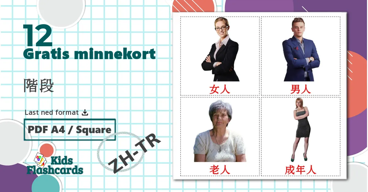 12 階段 bildekort