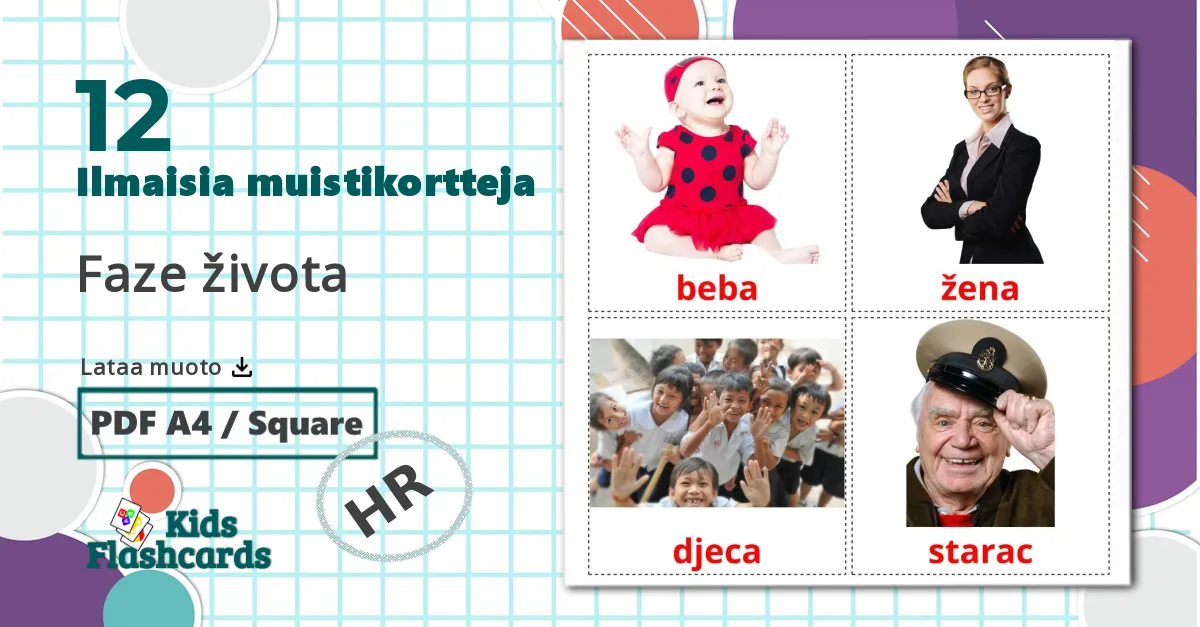 12 Faze života lasten kuvakortit