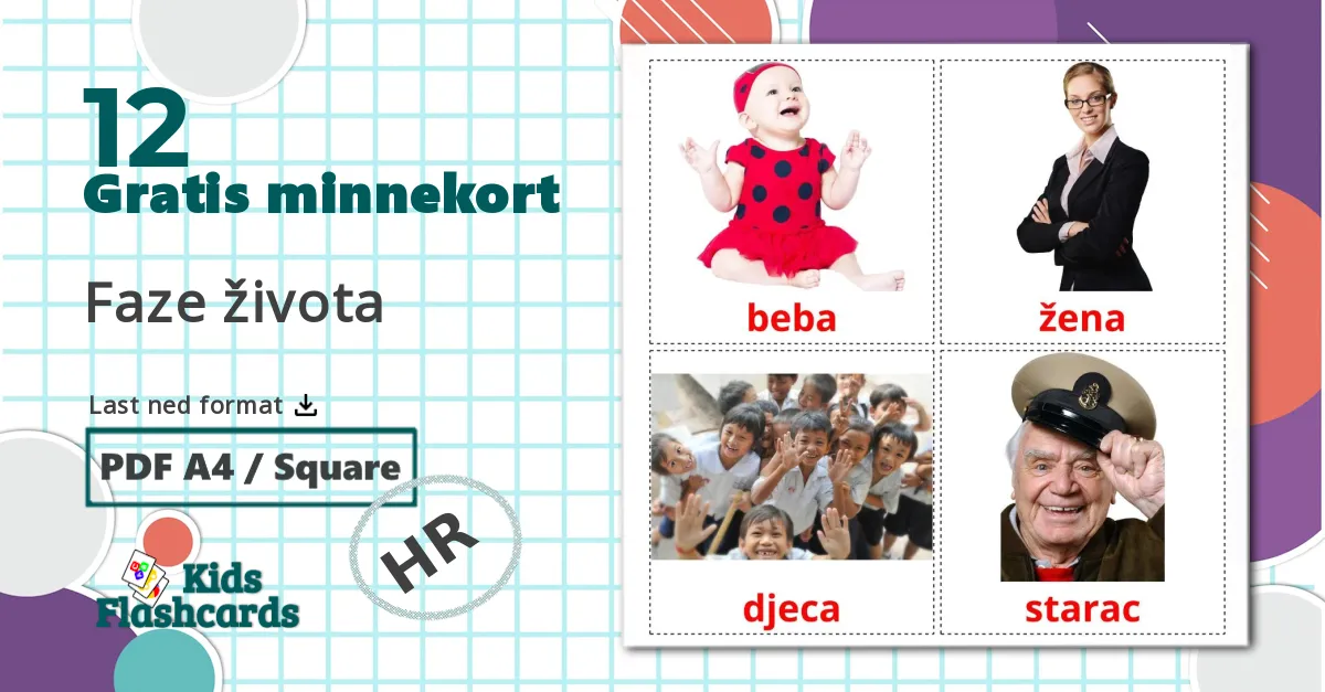 12 Faze života bildekort