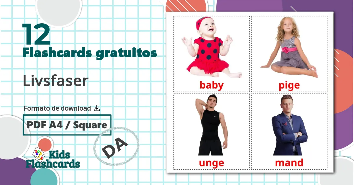 12 Flashcards de Livsfaser