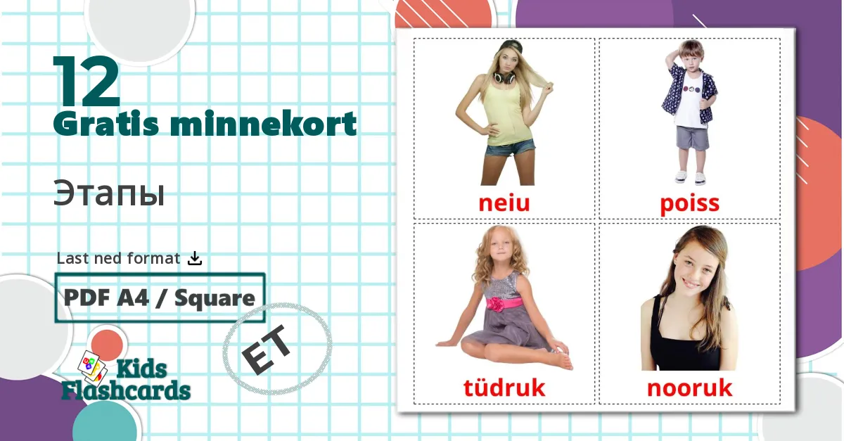 12 Этапы bildekort