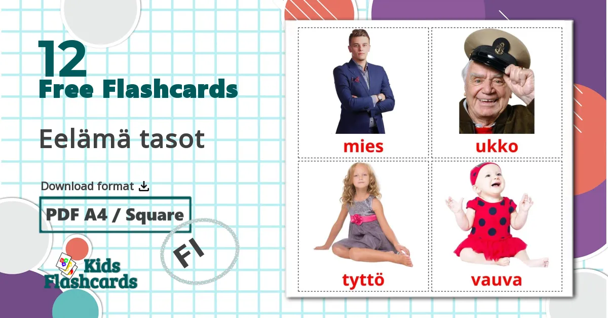 12 Eelämä tasot flashcards