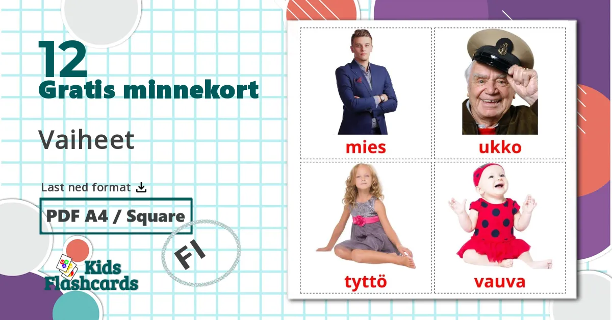 12 Vaiheet bildekort