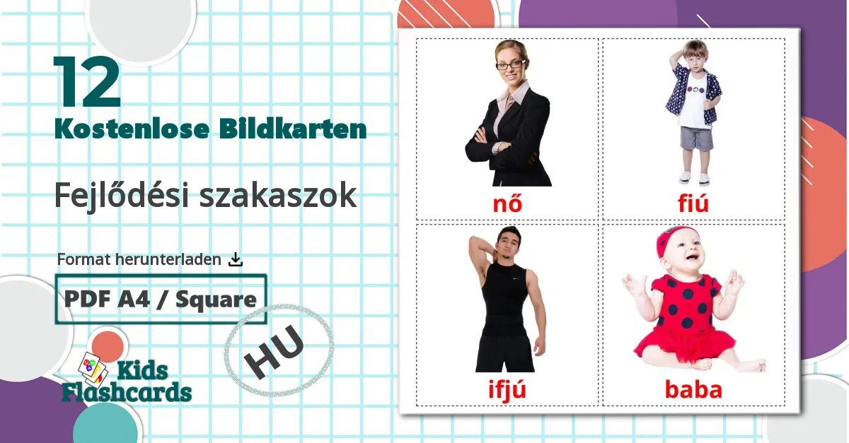 12 Bildkarten für Fejlődési szakaszok