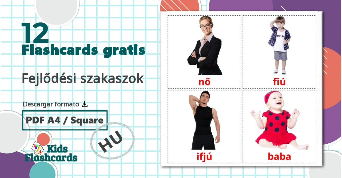 12 tarjetas didacticas de Fejlődési szakaszok