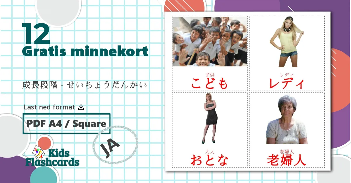 12 成長段階 - せいちょうだんかい bildekort