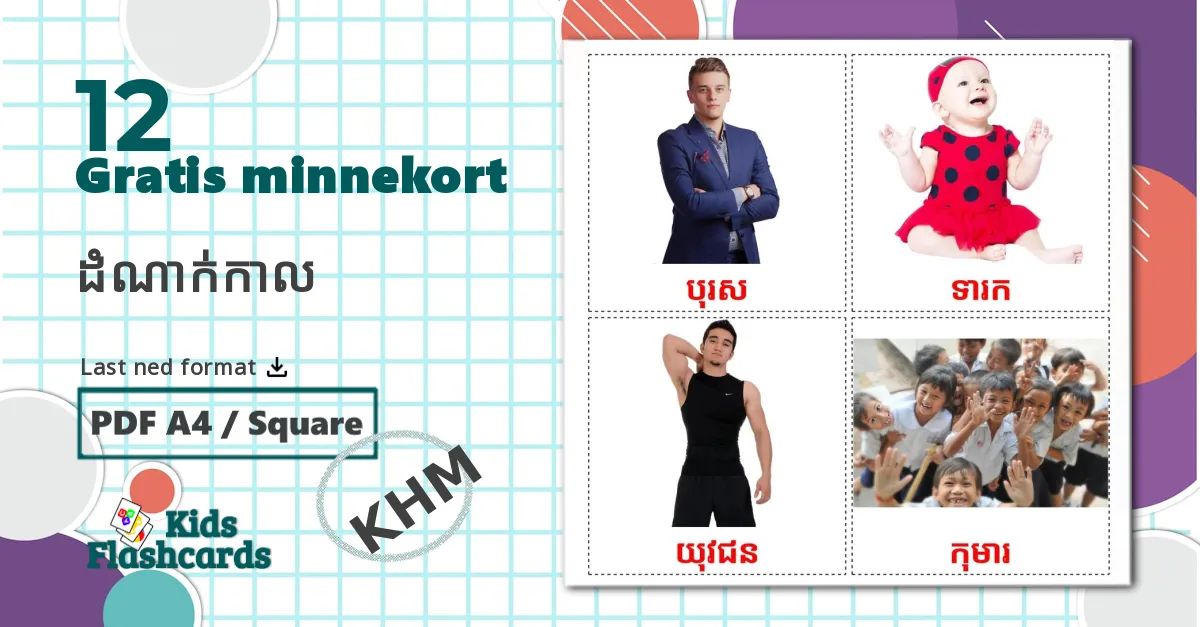 12 Stadier bildekort