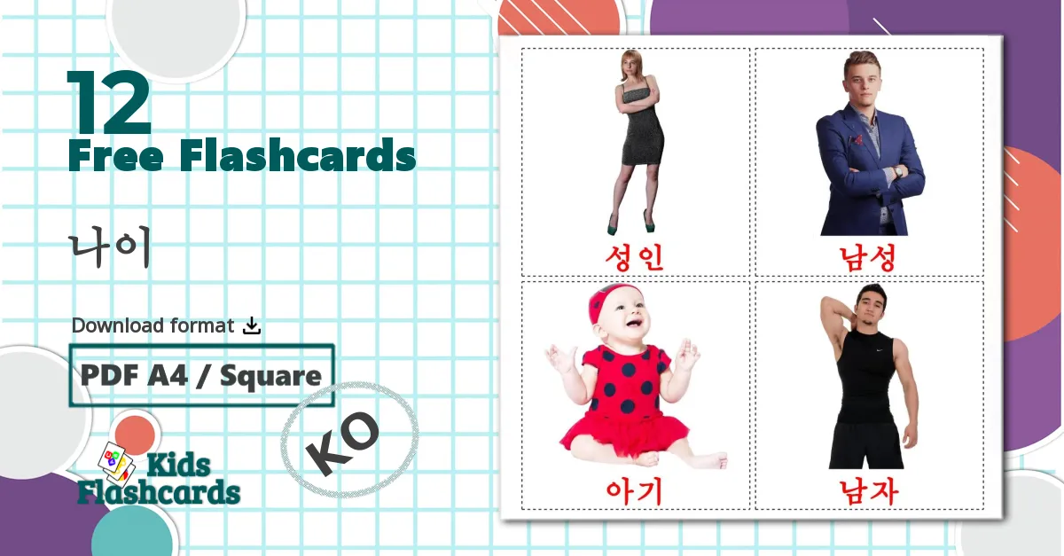 12 나이 flashcards