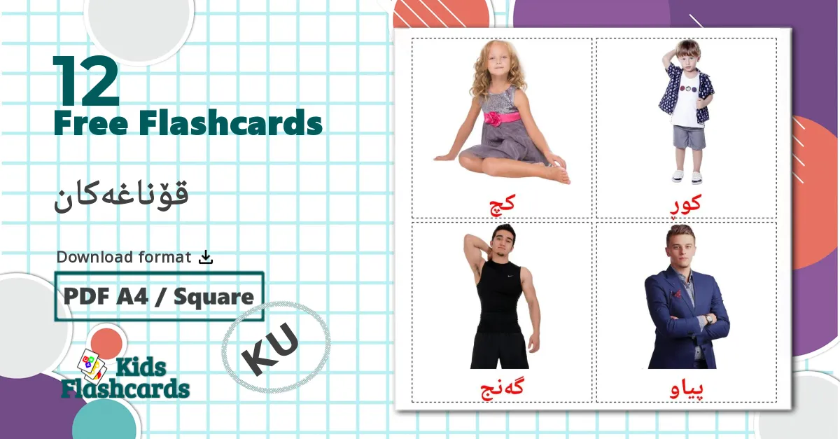 12 قۆناغەکان flashcards
