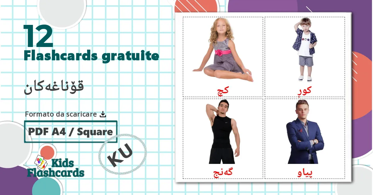 12 flashcards di قۆناغەکان