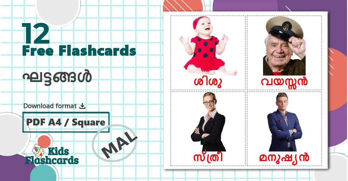 12 Stages flashcards