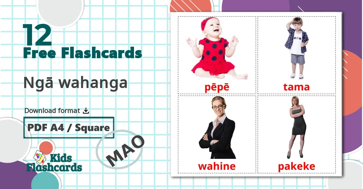 12 Ngā wahanga flashcards