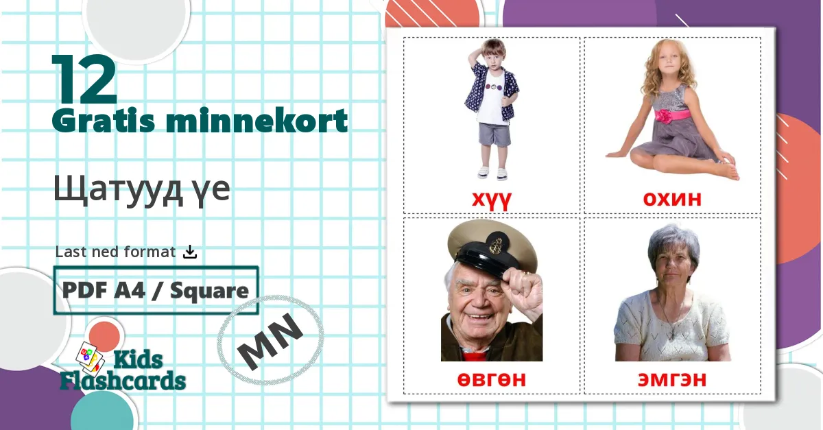12 Щатууд үе  bildekort