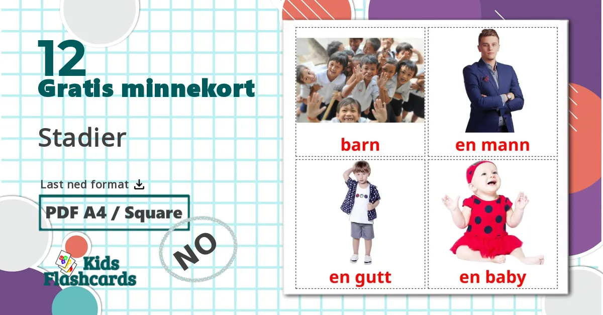 12 Stadier bildekort