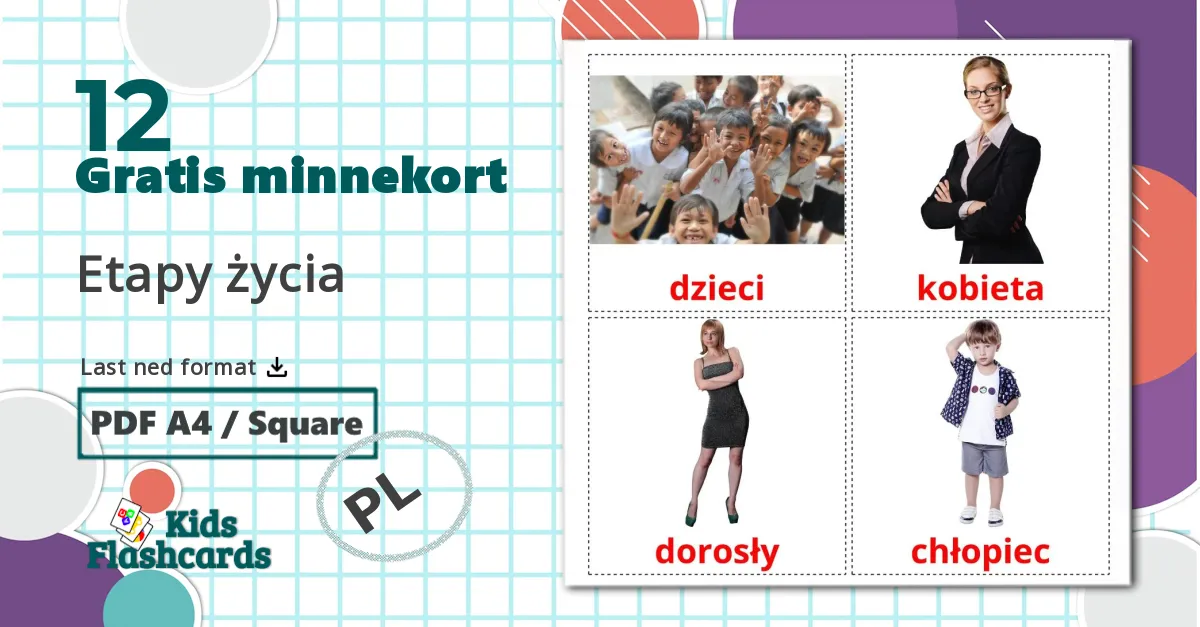 12 Etapy życia bildekort
