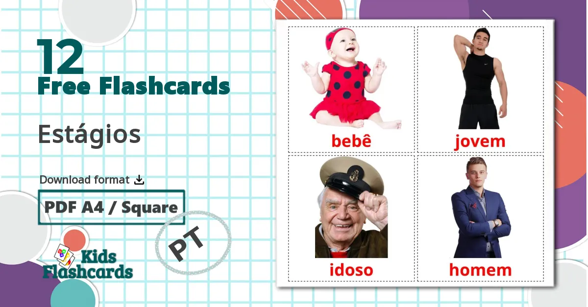 12 Estágios flashcards