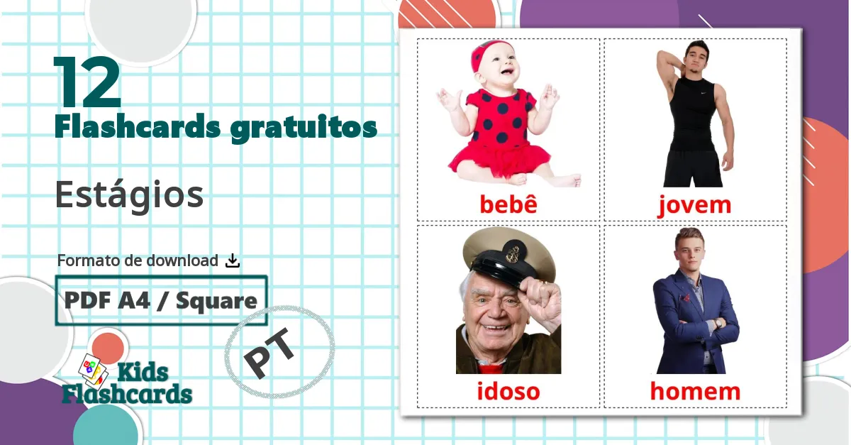 12 Flashcards de Estágios