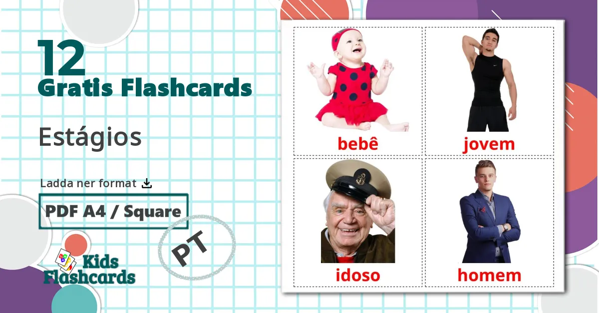 12 Estágios bildkort för barn