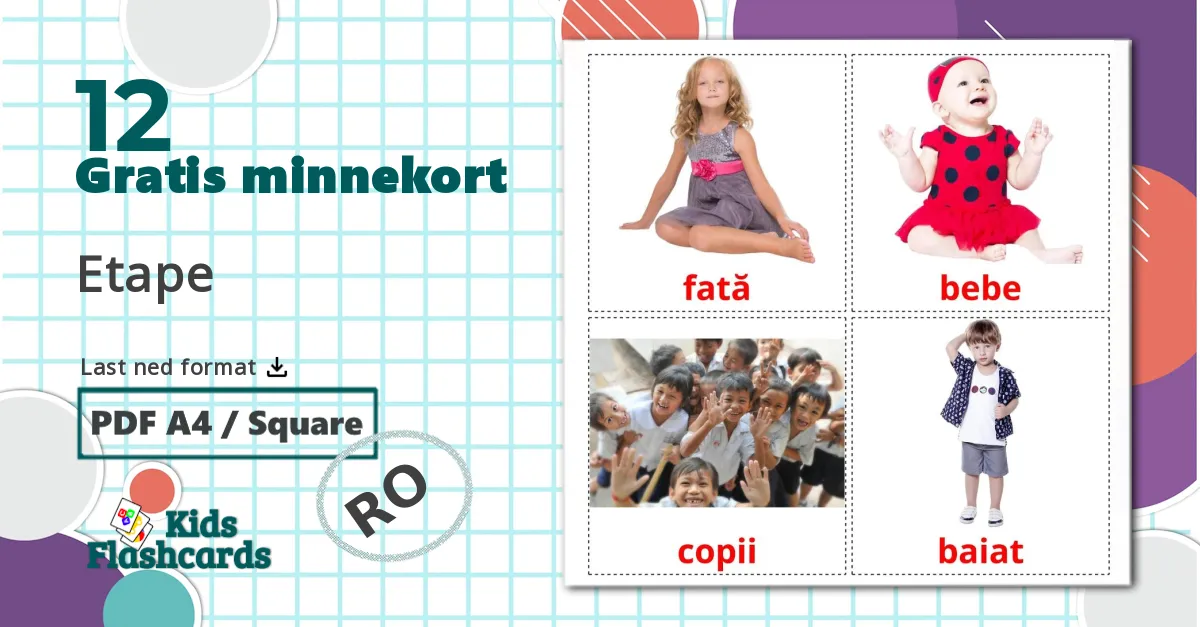 12 Etape bildekort