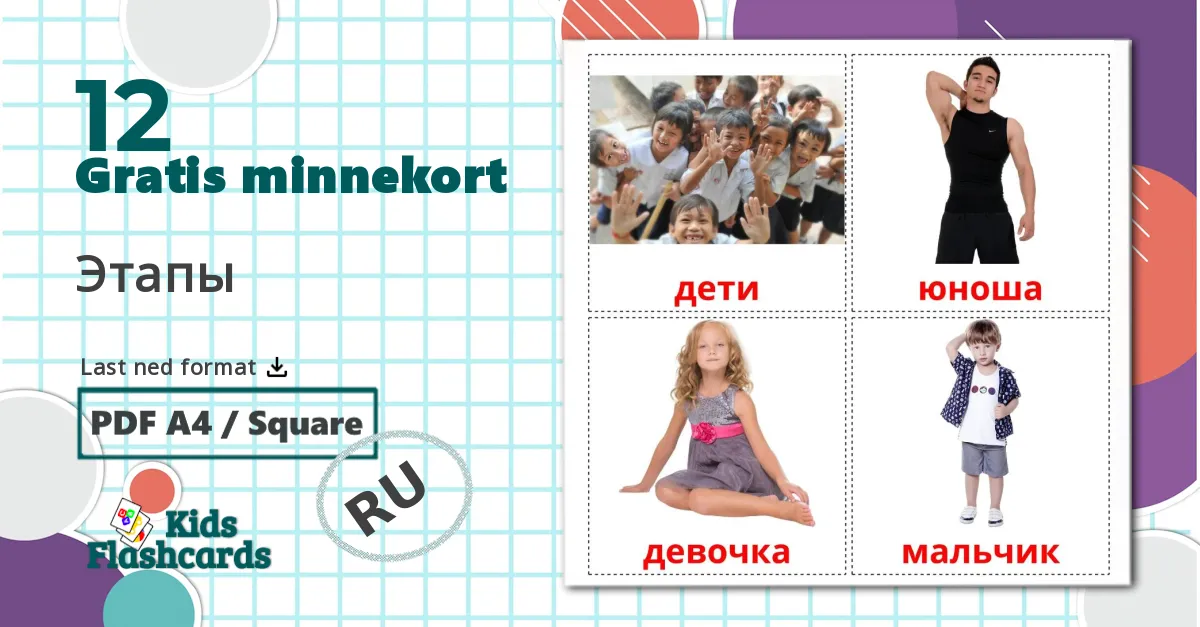 12 Этапы bildekort