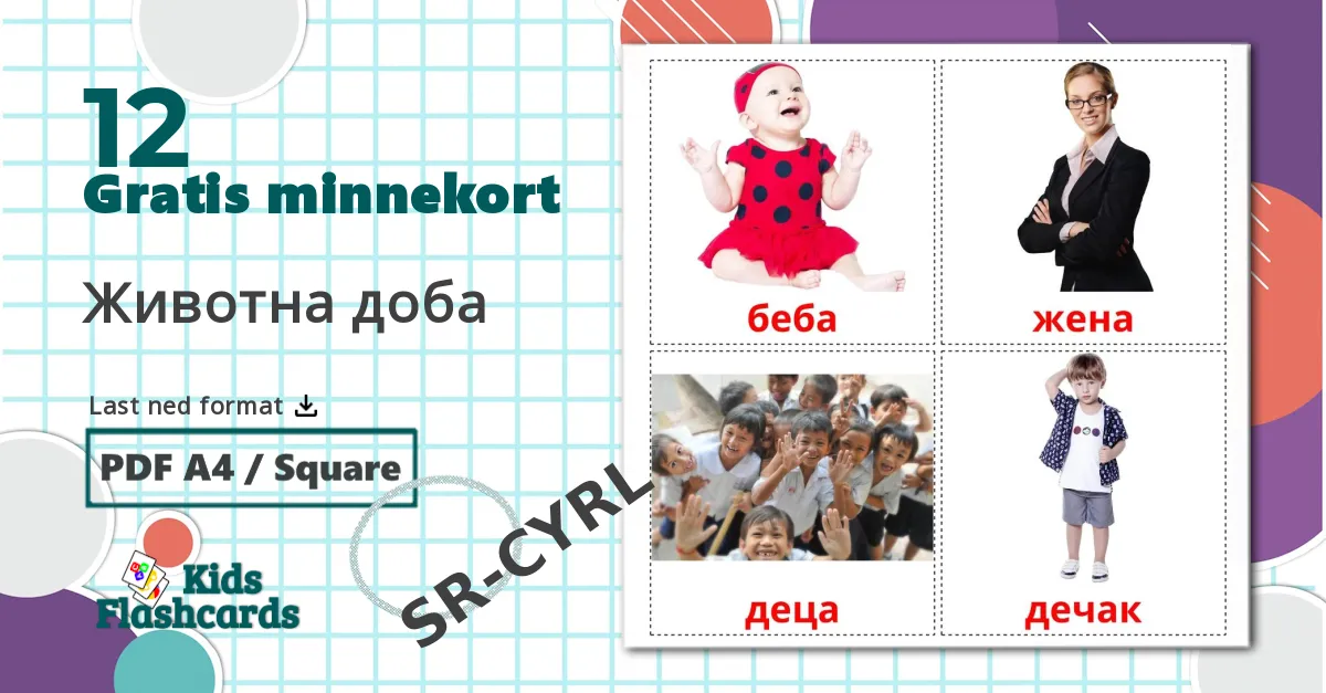 12 Животна доба bildekort