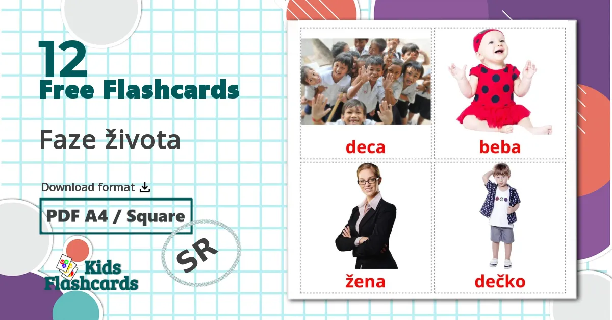 12 Faze života flashcards