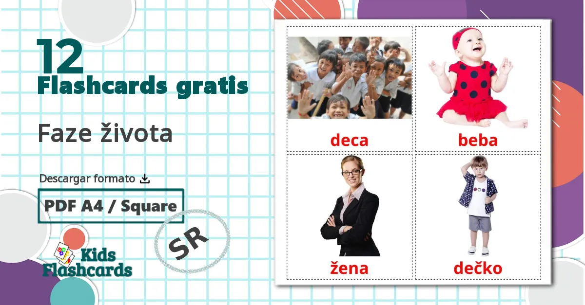 12 tarjetas didacticas de Faze života