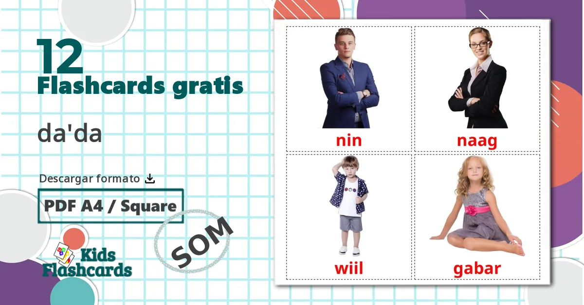 12 tarjetas didacticas de Estágios