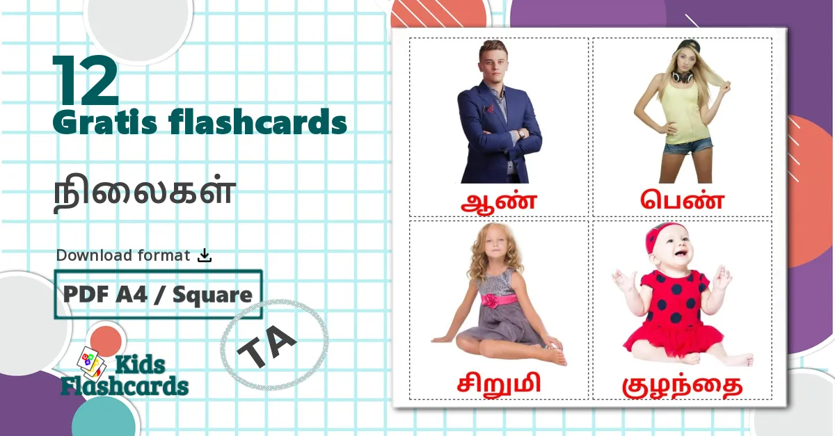 12 நிலைகள் billedkort for børn