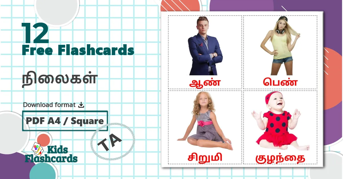 12 நிலைகள் flashcards