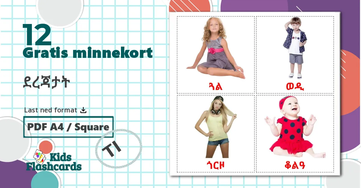 12 ደረጃታት bildekort