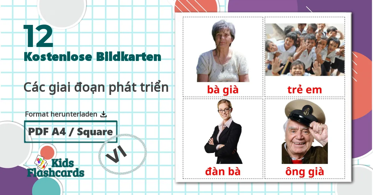 12 Bildkarten für Các giai đoạn phát triển