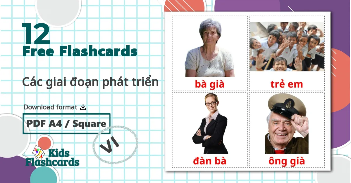 12 Các giai đoạn phát triển flashcards