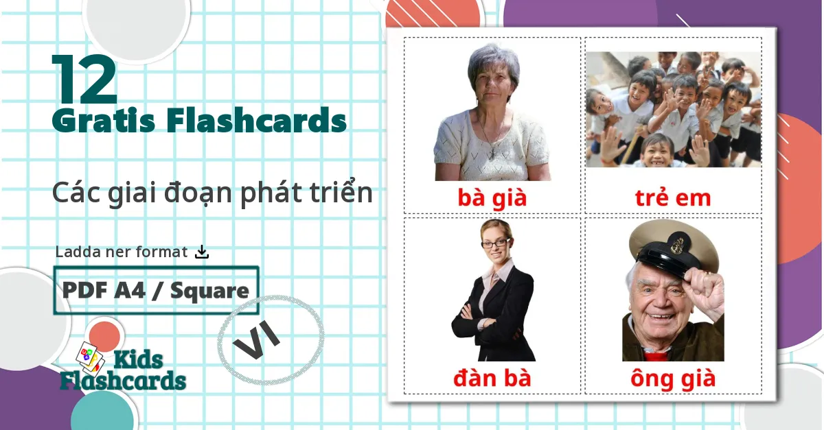 12 Các giai đoạn phát triển bildkort för barn