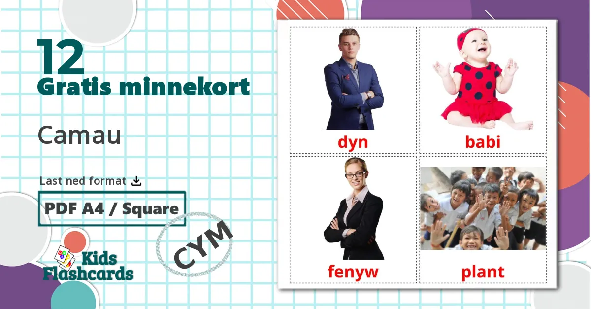 12 Camau bildekort