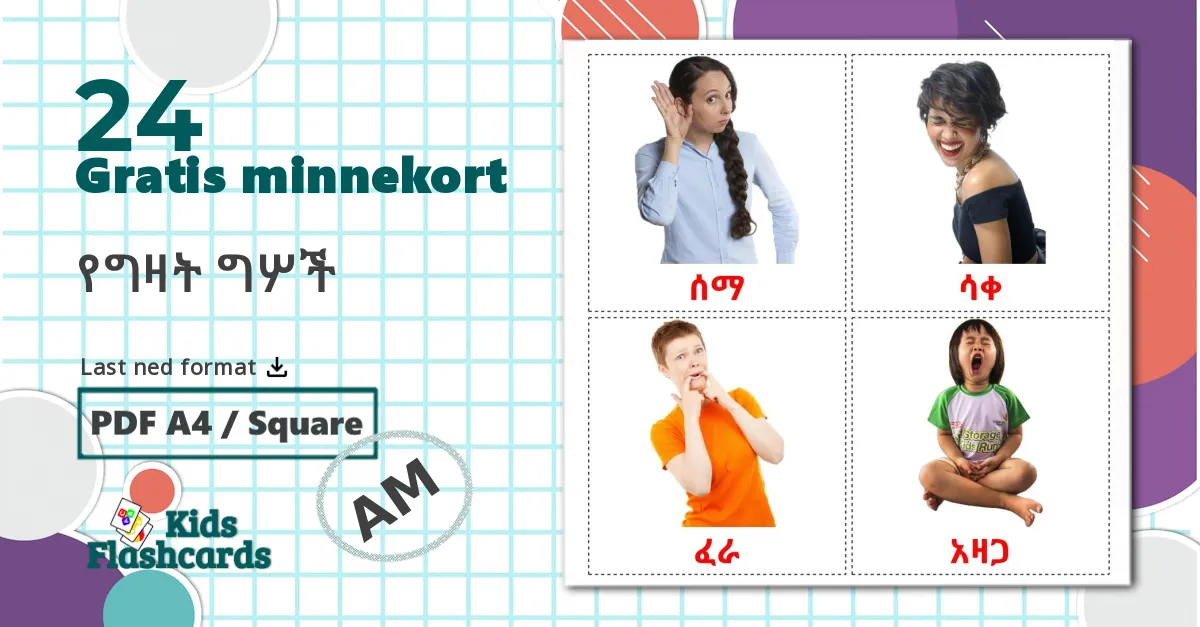 24 የግዛት ግሦች bildekort