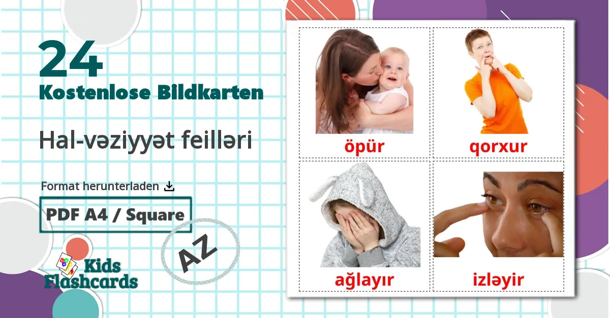 24 Bildkarten für Hal-vəziyyət feilləri