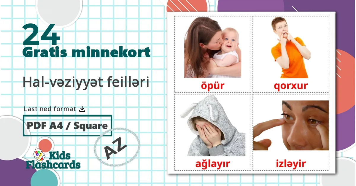 24 Hal-vəziyyət feilləri bildekort