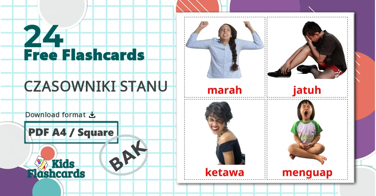 24 State verbs flashcards