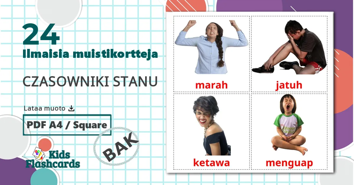 24 Osavaltioverbit lasten kuvakortit