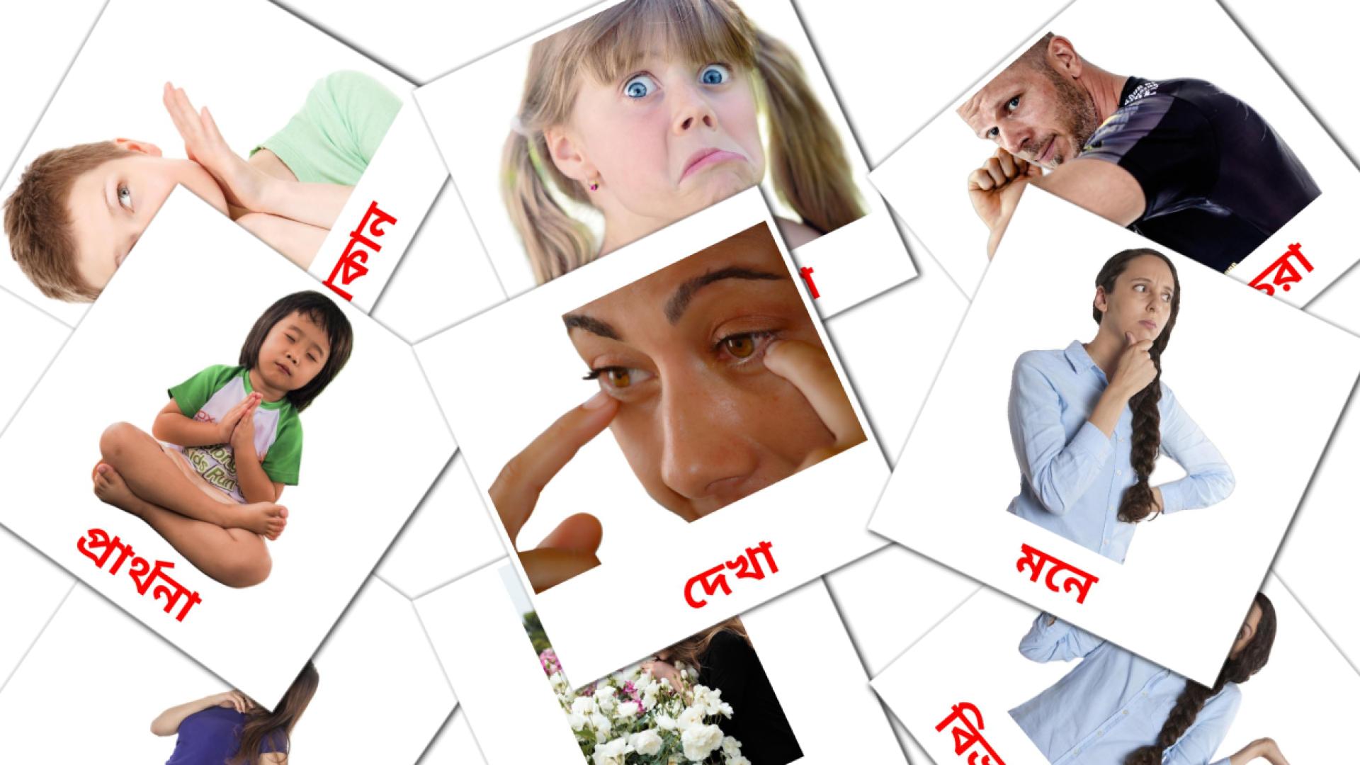 State verbs - bengali vocabulary cards