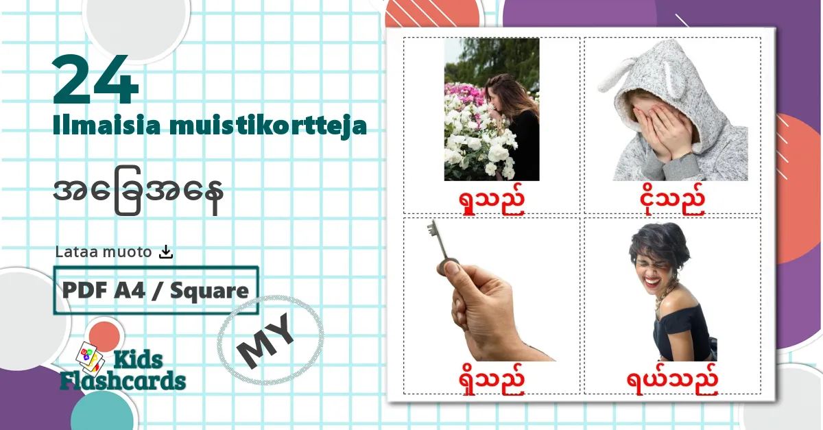 24 Osavaltioverbit lasten kuvakortit