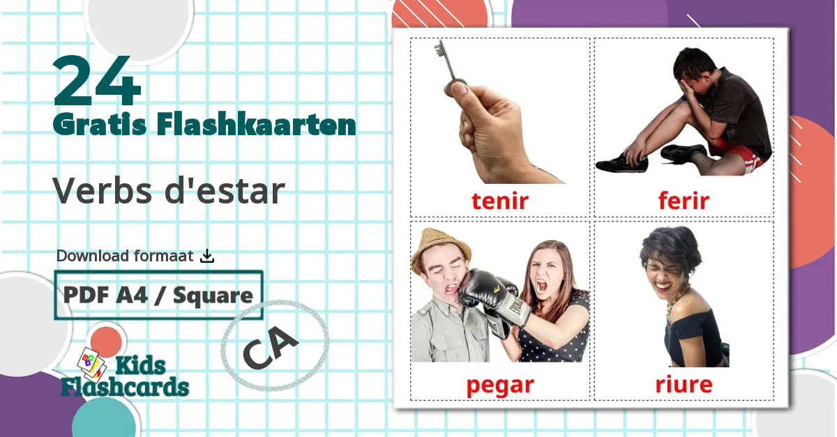 24 Staat werkwoorden flashcards