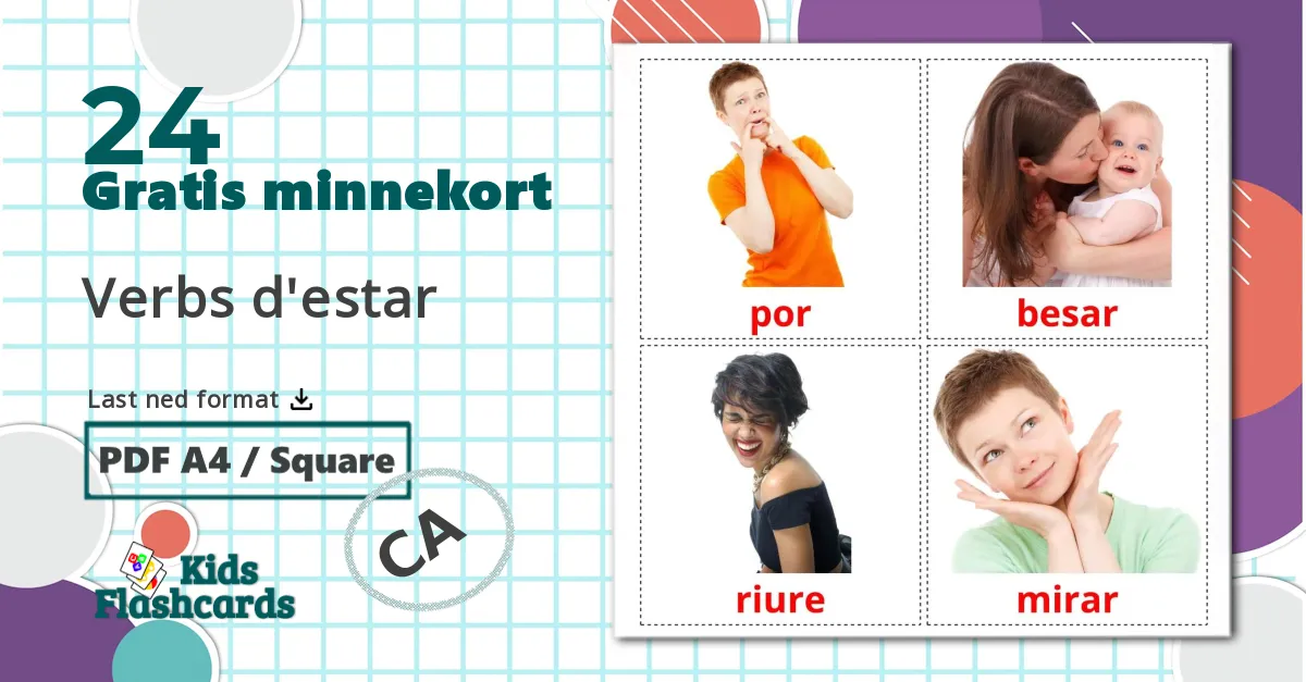 24 Motsetninger bildekort