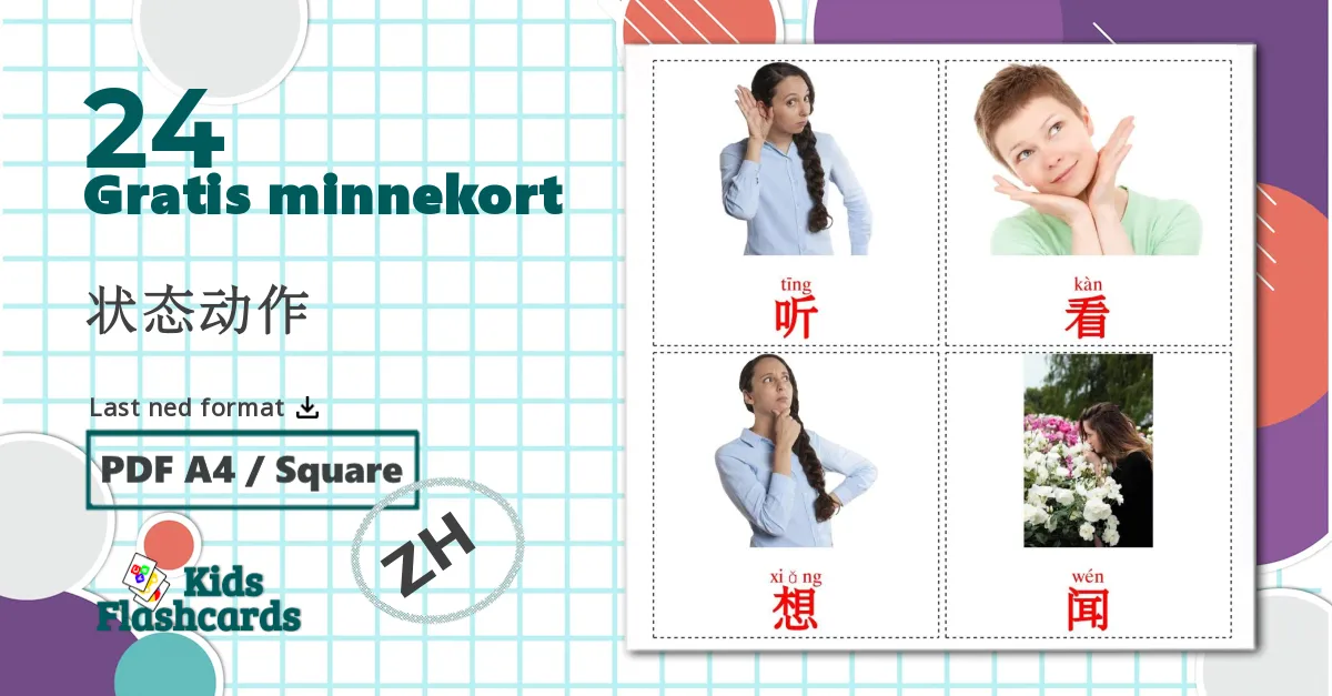 24 状态动作 bildekort