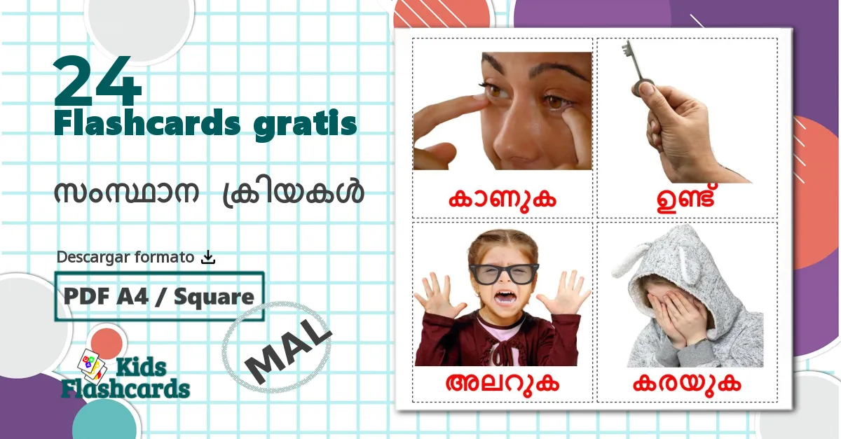 24 tarjetas didacticas de Etapas