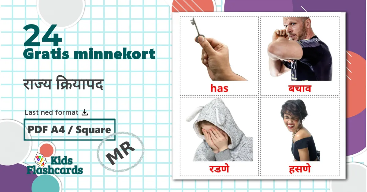 24 राज्य क्रियापद bildekort
